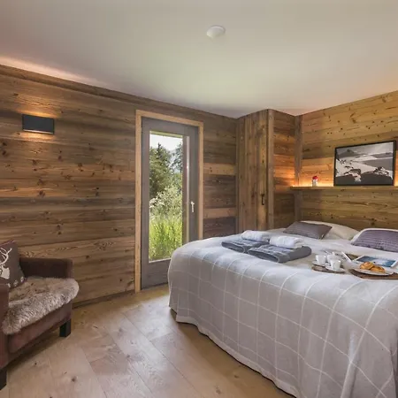 Capricorne Alpine Chique Sauna *